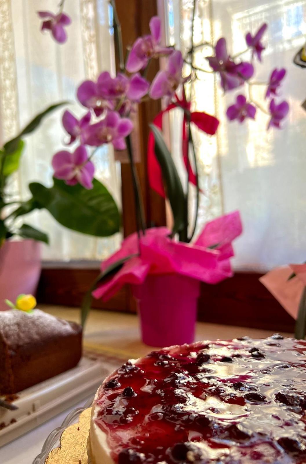 Il Ritrovo Delle Volpi Bed & Breakfast Аджерола Екстериор снимка