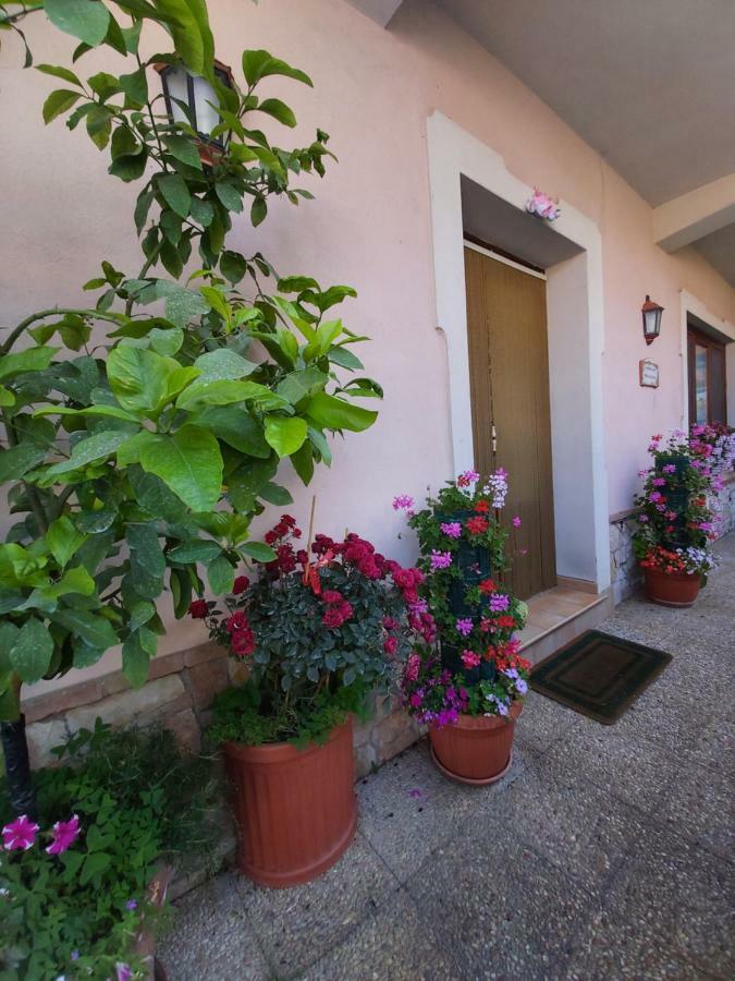 Il Ritrovo Delle Volpi Bed & Breakfast Аджерола Екстериор снимка